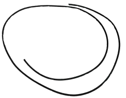 Seal Filler Strip