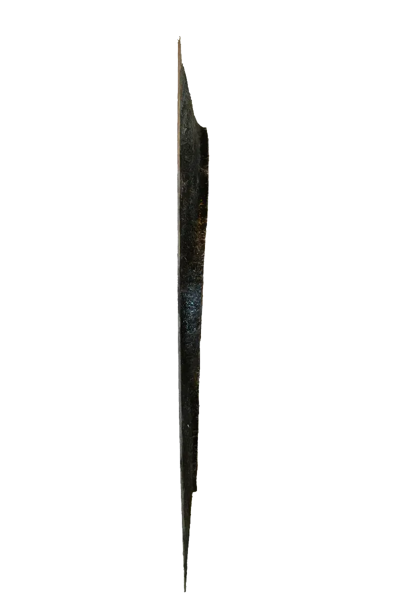 Side