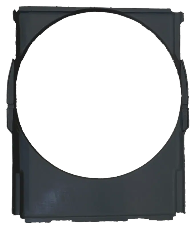 Back
