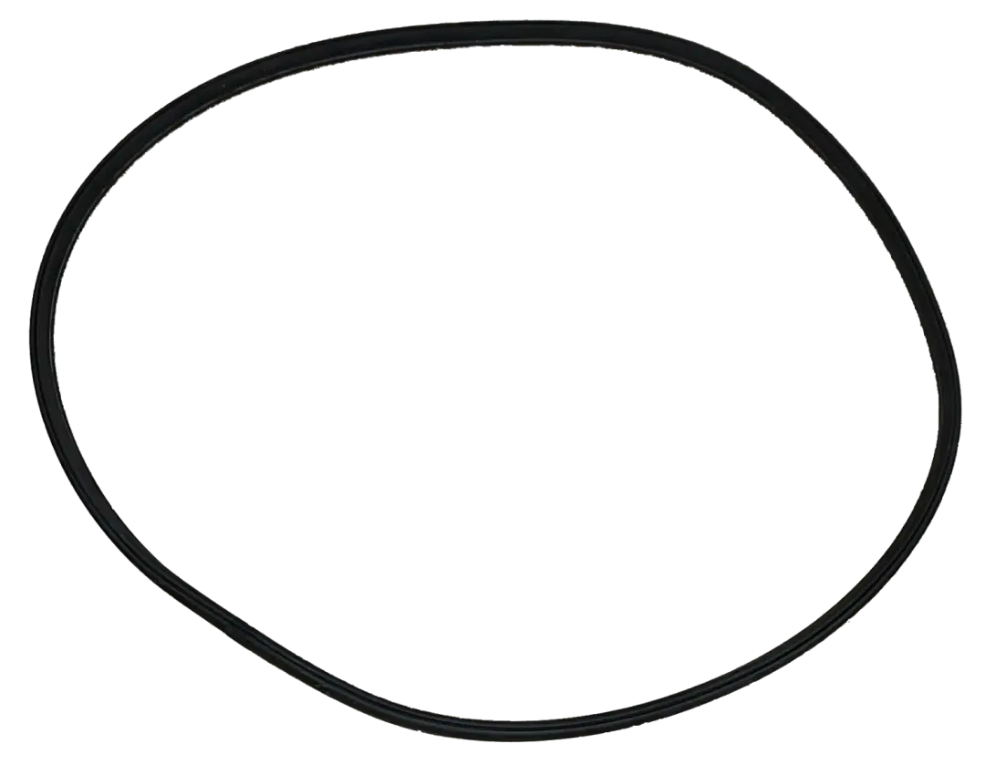 Rear Bunk Window Seal (8497)