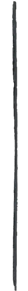 Side