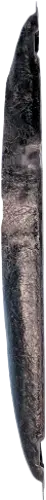 Side